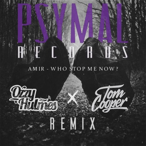Who Stop Me Now? (Ozzy Hulmes & Tom Cooper Remix) FREE DL