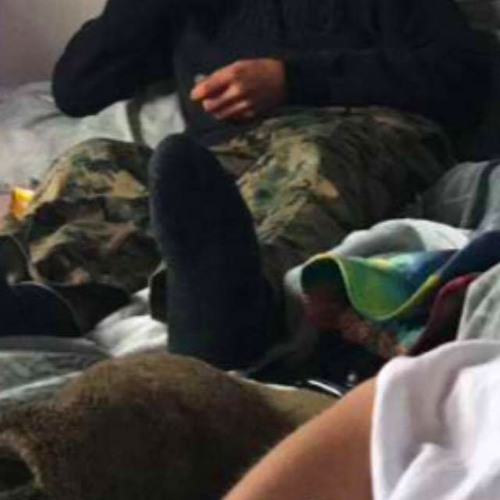 Fuck Sleeping қараңыз Fuck Sleeping қараңыз