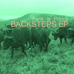 Funk le Prince - Backsteps (Original Mix)