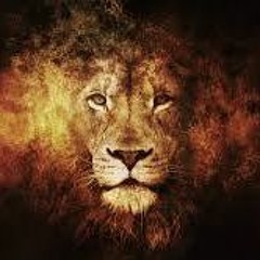 Adam Walker - Optimal Aspiration (4th Master) - 290117