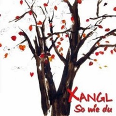 Wast du wie gern i di anschau - XANGL