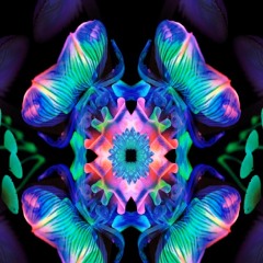 Myrrör - Static Reload