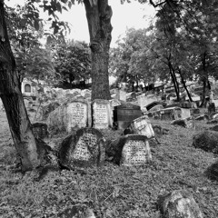 My Body is A Zombie For You (Dead Man's Bones)