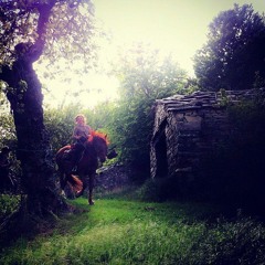 No one knows who I am