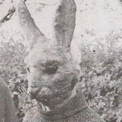 Abyss Beats - Wicker man