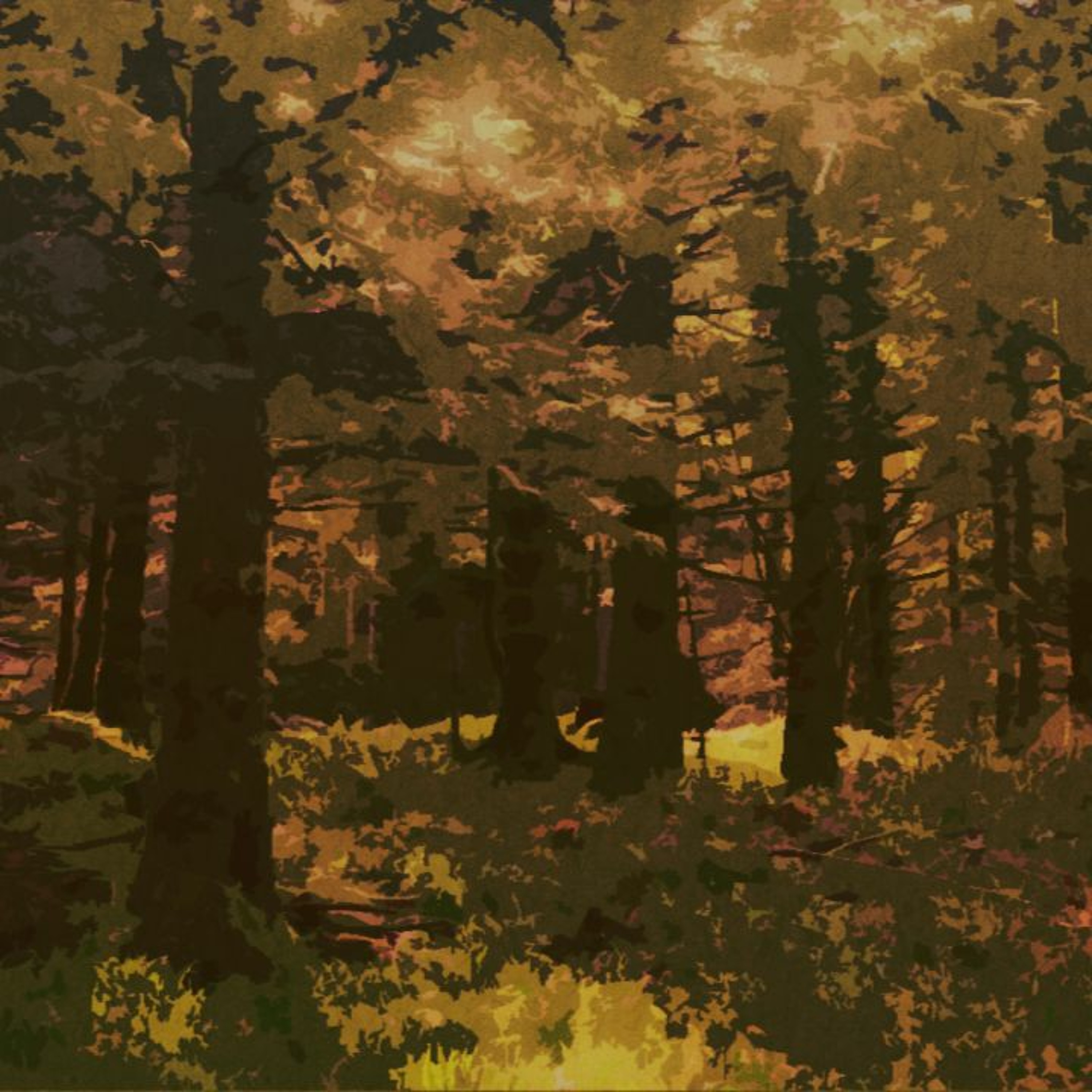 Beautiful Creation episode artwork