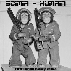 Scimia - Humain ( T'O'M'S furious monkeys edition )