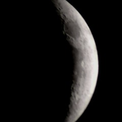 The Chi-Lites Revisited - Bottoms - Up And Down , Move it move It