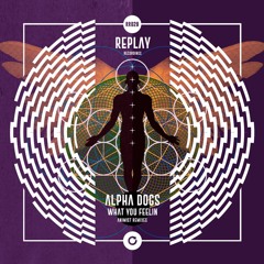 Alpha Dogs - What U Feelin - Animist Deep Mix
