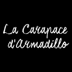 La Carapace d'Armadillo