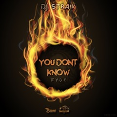 Dj Straik - You Don't Know  [Shendou Gang ]