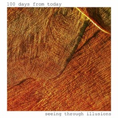 seeing through illusions