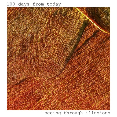 seeing through illusions