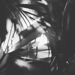 algorythms - blunted