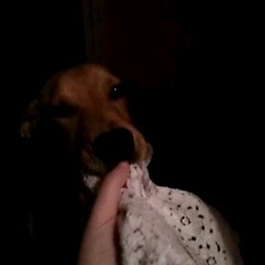 The Mansion On The Hill