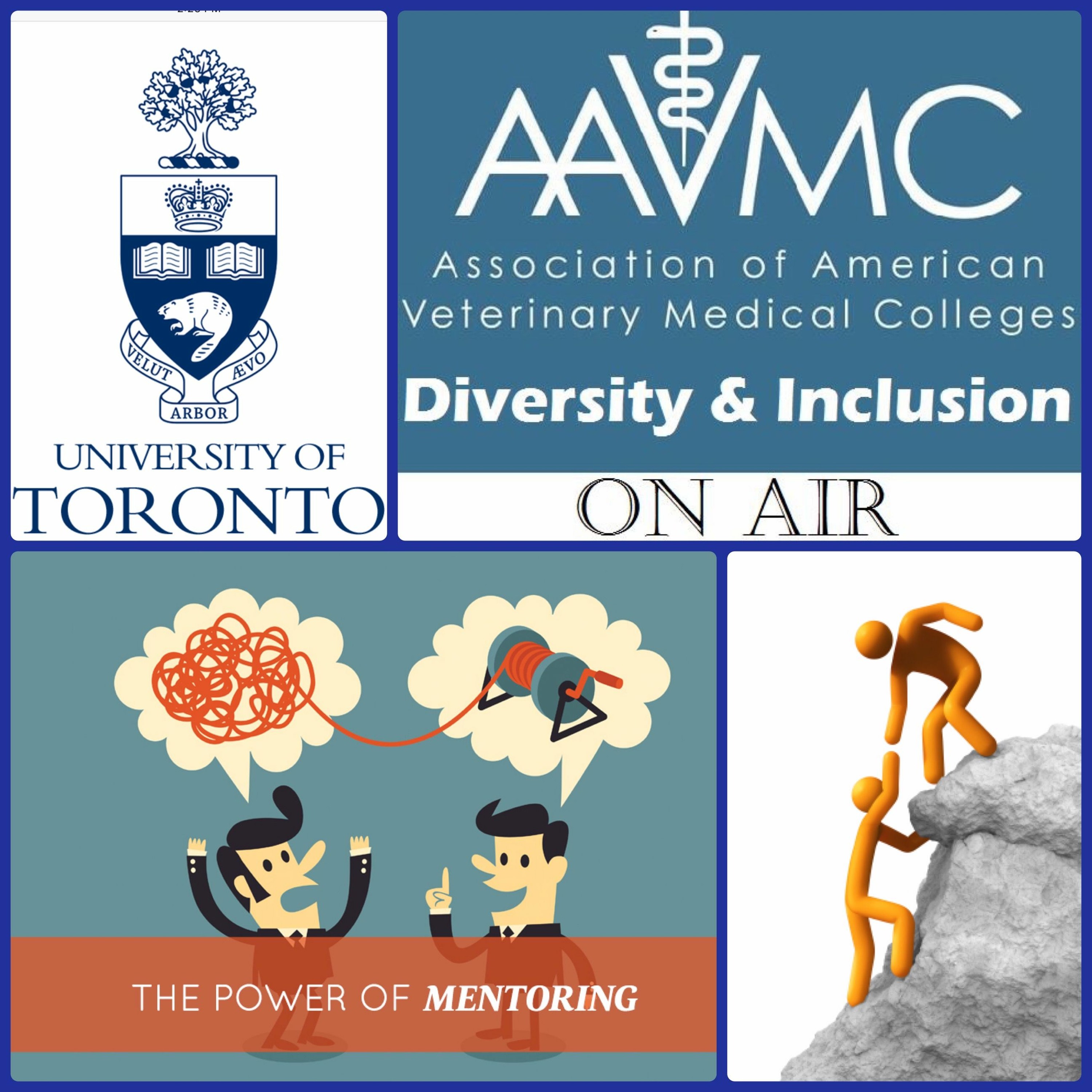 AAVMC\'s On Air: Conversations about Issues in Veterinary Medicine