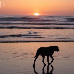 Turnin' Up The Party (Ft. Flexx Jasper x ZoGawd) (Prod. by Lilvoe)