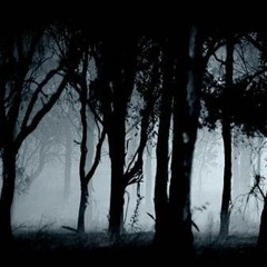 Out In The Woods