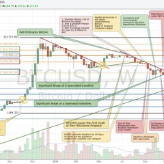 Interview with Tone Vays - About Tone and Hackathon Review From TNABC