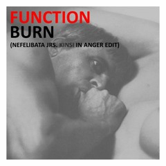 Function-Burn(Captain Cosmotic's Kinski In Anger Edit)(Free DL)