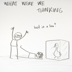 What Were We Thinking?