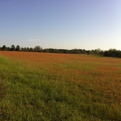 I NEED A RIVER - DEMO