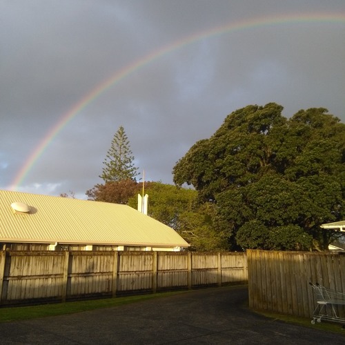 Mokora (Cook Island)