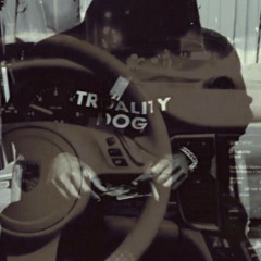 Josh Sea - Porsches & Grabba Leaf (Truality Policy)