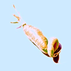 The Winding Stair II