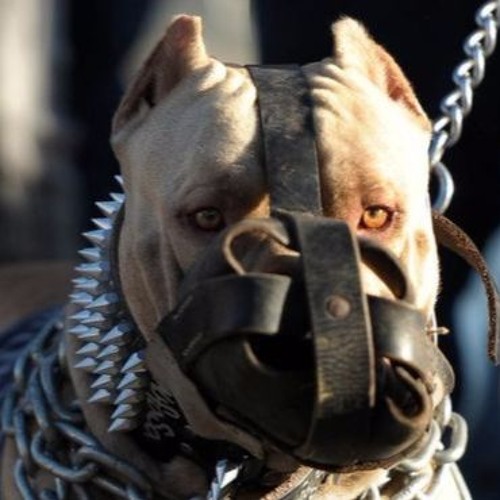 Oskama Esteban feat 23 & Suwii Luwii - Ruff Ryders Anthem (Plug Mix)