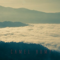 I Don't Love You - Camel Hump