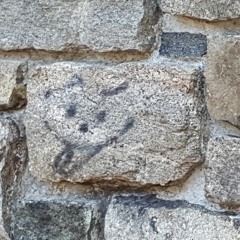 Crazy Girl Cover Practice