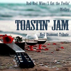 Red Red Wine/I Got The Feelin' (Medley)