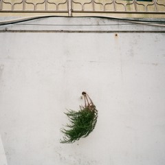 이 단도 - 삐져나온 마음 (20170130)