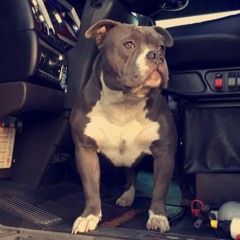 Taare - Guru Randhawa