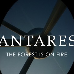 The Forest Is On Fire