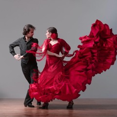 Flamenco&Viola