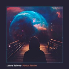 Lisitsyn, Wallmers - Physical Reaction(Original Mix)[free download]