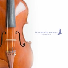 BRC - 001Lp : 強襲 /Assault