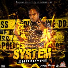 System