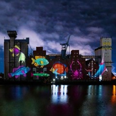 #2 MS DOCKVILLE 2017