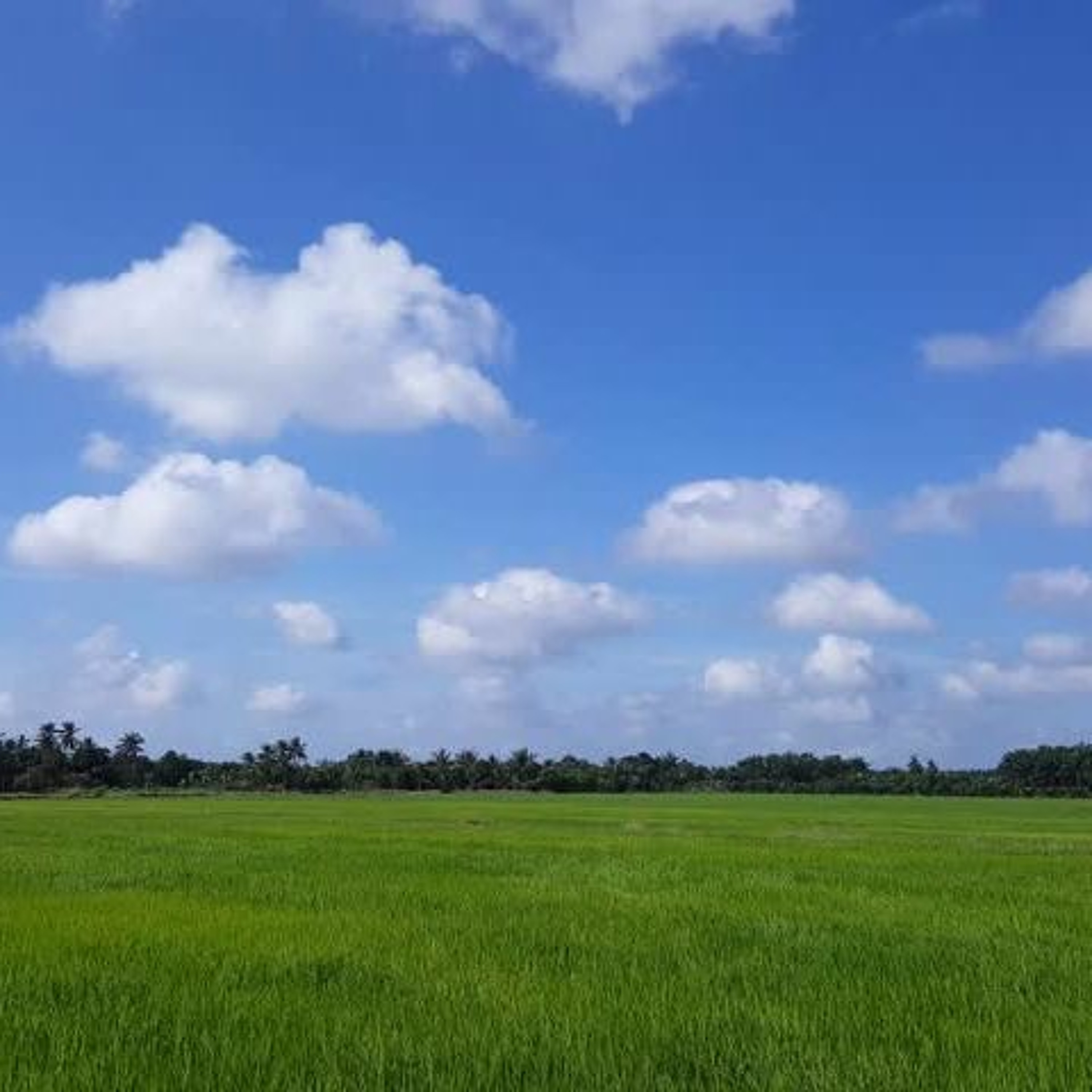 Clear Sky Thinking (ROUGH CLIP) episode artwork