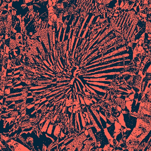 Moxie NTS Radio Show Archive