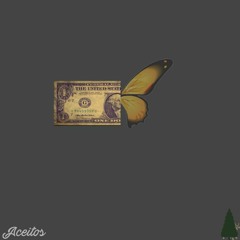 Dolla Bill$/Butt3rFlie$