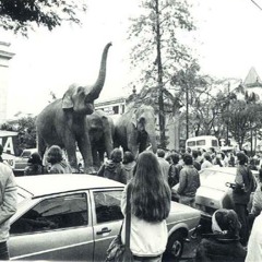 Café & Chocolate (Coffee and Chocolate)