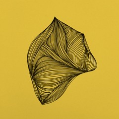 Things Are Not What They Seem Ft. Twitchthroat (Bonus Track)