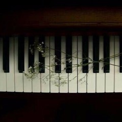 Skinny Love Piano Acoustic Version - Birdy (cover Aldani)