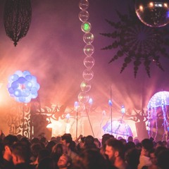 Thuishaven Wintercircus w/ Karotte (Afterparty)