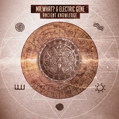 Mr.What? & Electric Gene - Origins Of The Universe (Out now!)