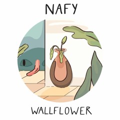 nafy - wallflower